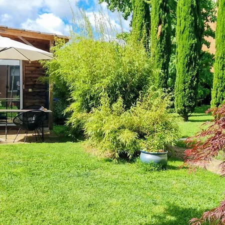 Tiny House De Charme & Oasis Privee דירה טולוז