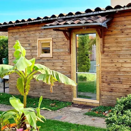 Tiny House De Charme & Oasis Privee Lejlighed Toulouse