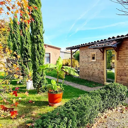 Tiny House De Charme & Oasis Privee Toulouse